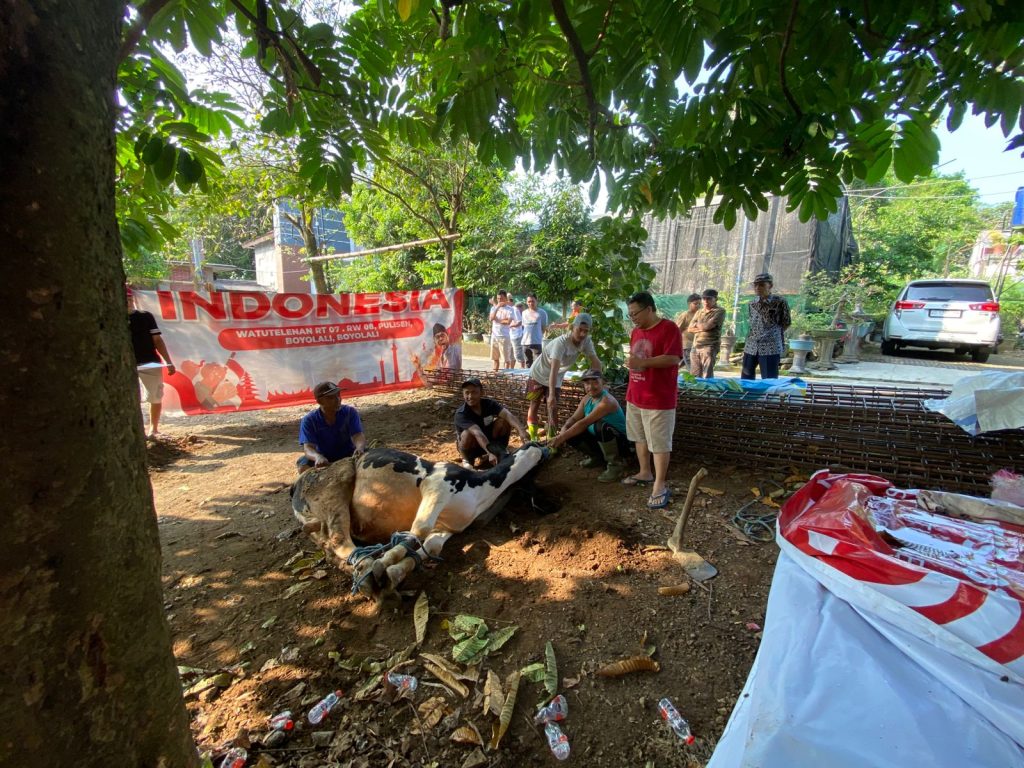 IWarga Watutelenan sedang prosesi penyembelihan hewan Qurban